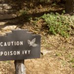 A sign that says caution poison ivy
