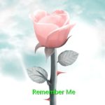 A pink rose with the words " remember me ".