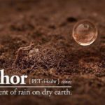 A drop of water is floating in the dirt.