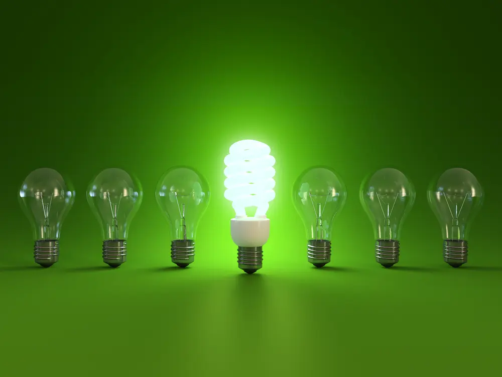 A group of light bulbs with one glowing green.