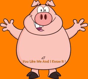 A cartoon pig with his arms open and the words " you like me and i know it ".
