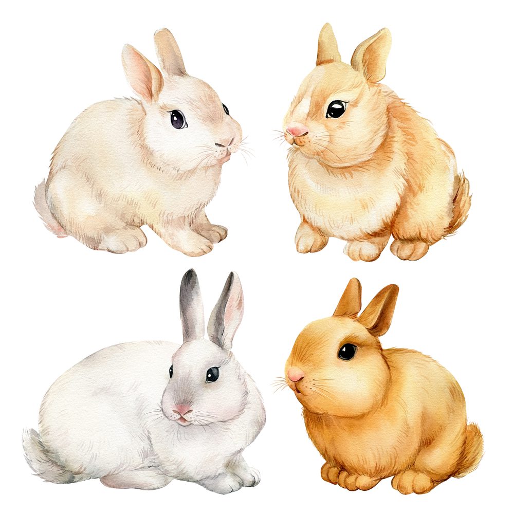 Four different colored rabbits sitting next to each other.