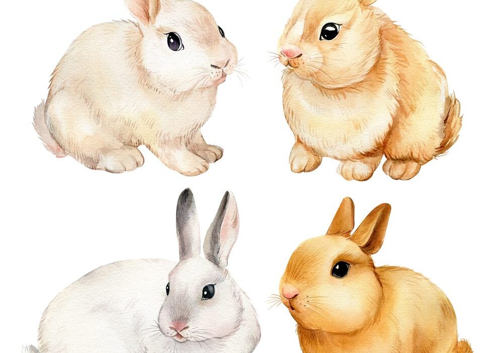 Four different colored rabbits sitting next to each other.