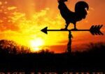 A rooster is on top of a weather vane.