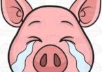 A pig with tears in its eyes crying.