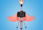 A pink flamingo holding a camera in its beak.