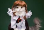 A cat dressed in school clothes and holding its mouth open.
