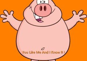 A cartoon pig with his arms open and the words " you like me and i know it ".